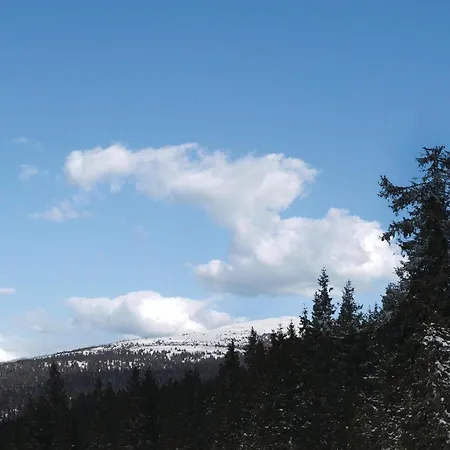 Beautiful In With Sauna 別荘 Sjusjøen