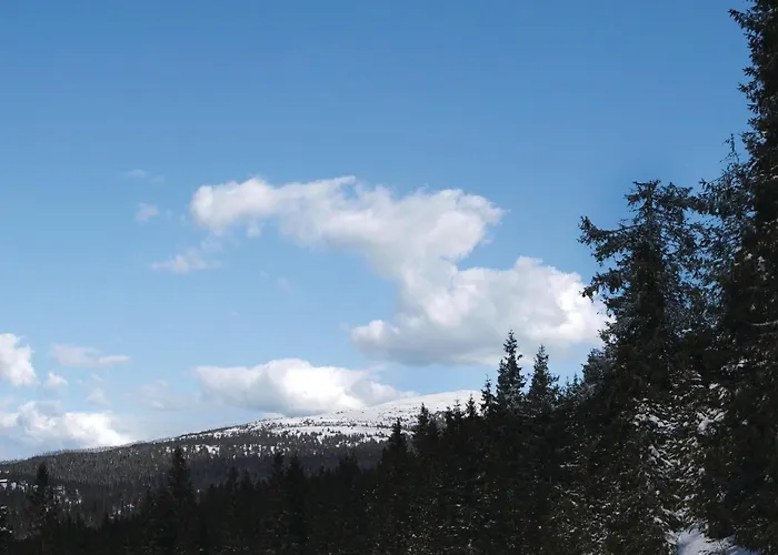 Cozy In With Sauna Ferienhaus Sjusjoen