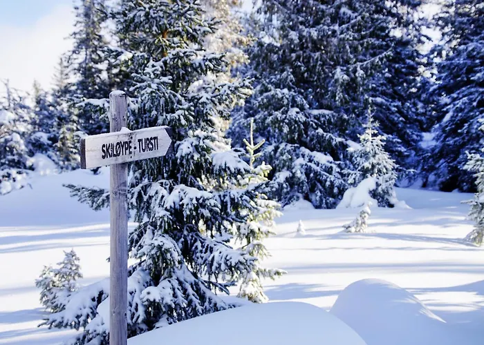 Cozy In With Sauna * Sjusjoen