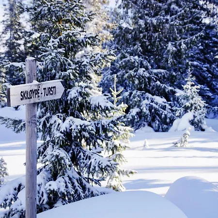 Beautiful Home In Sjusjoen With Sauna * Sjusjoen